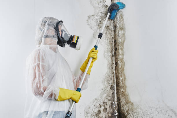 A professional in protective gear, including a respirator and gloves, scrubbing black mold off a white wall with a long-handled brush.