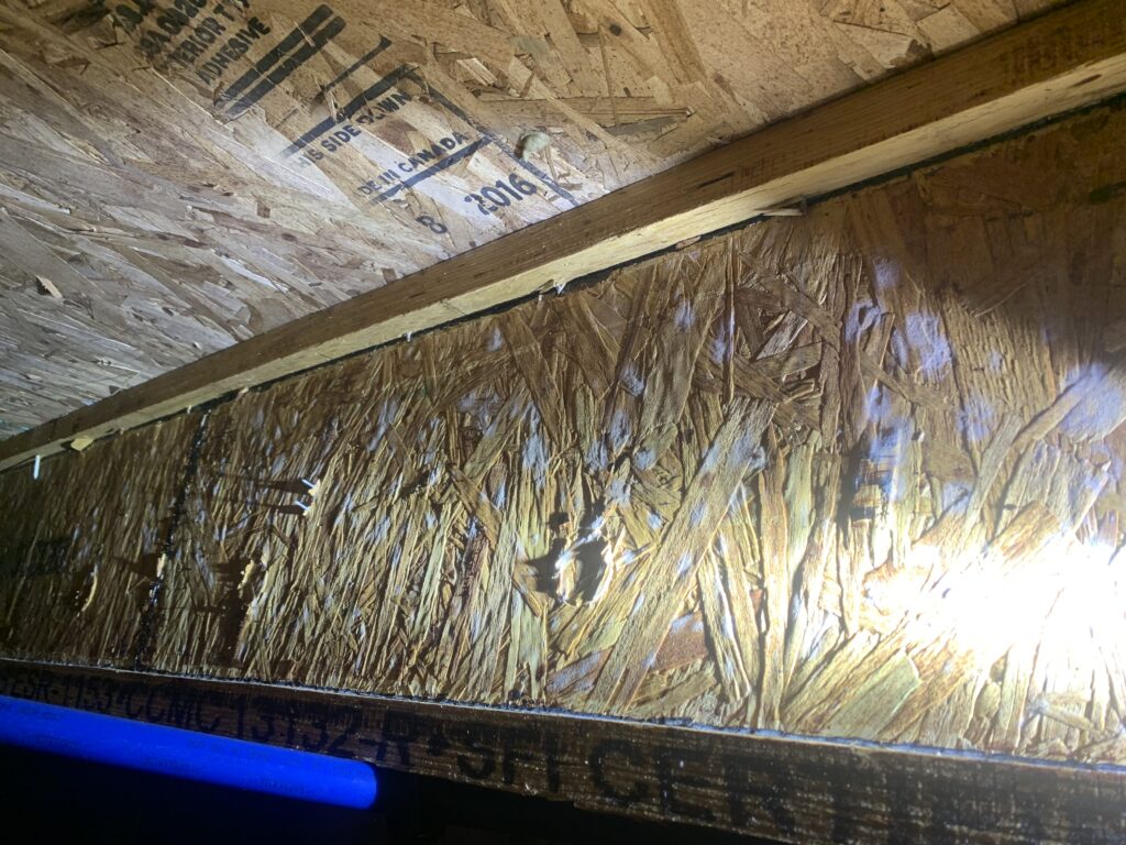 Mold growth discovered in crawlspace in Denver home despite 18% outdoor humidity conditions
